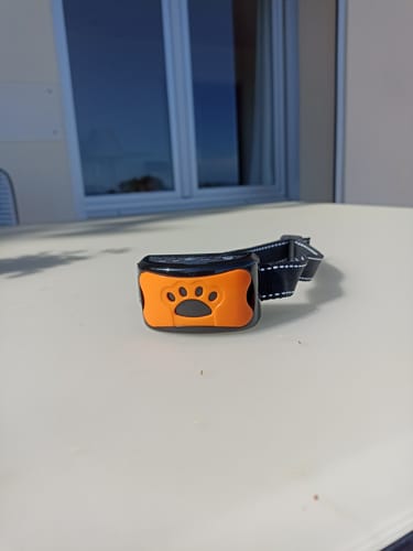 Customer photo review of Emmalove - Tierfreundliches Anti-Bell Halsband