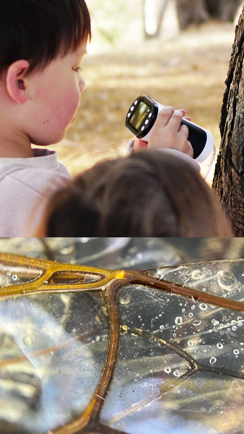 Customer photo review of Digital WonderScope™