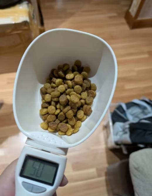 Customer photo review of Digital Measuring Scoop
