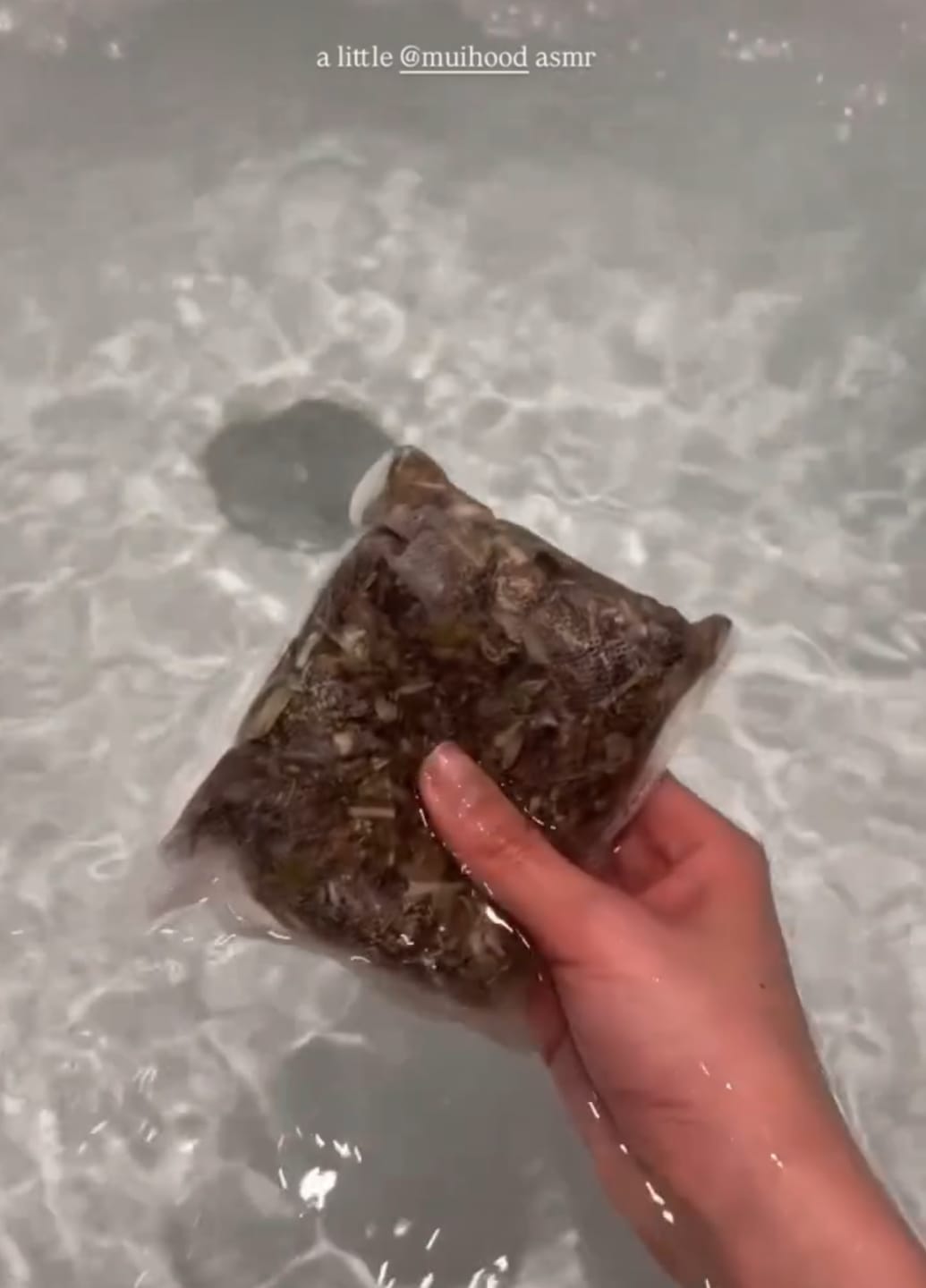 Customer photo review of Mugwort Bath Soak