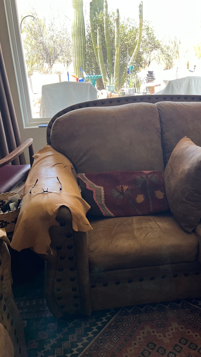 Customer photo review of Oriental Kilim Throw Pillow Cover 12" x 20"