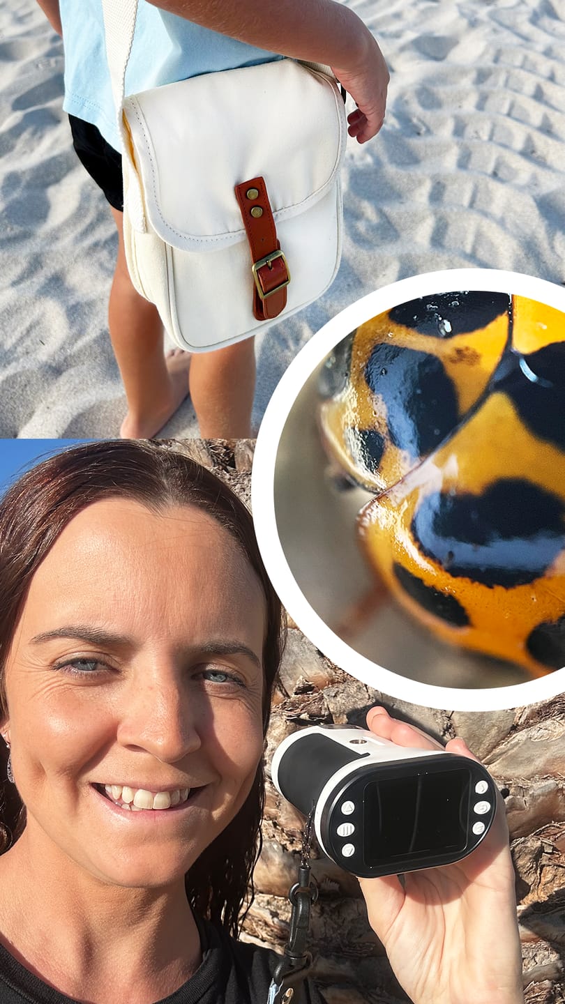 Customer photo review of Digital WonderScope™