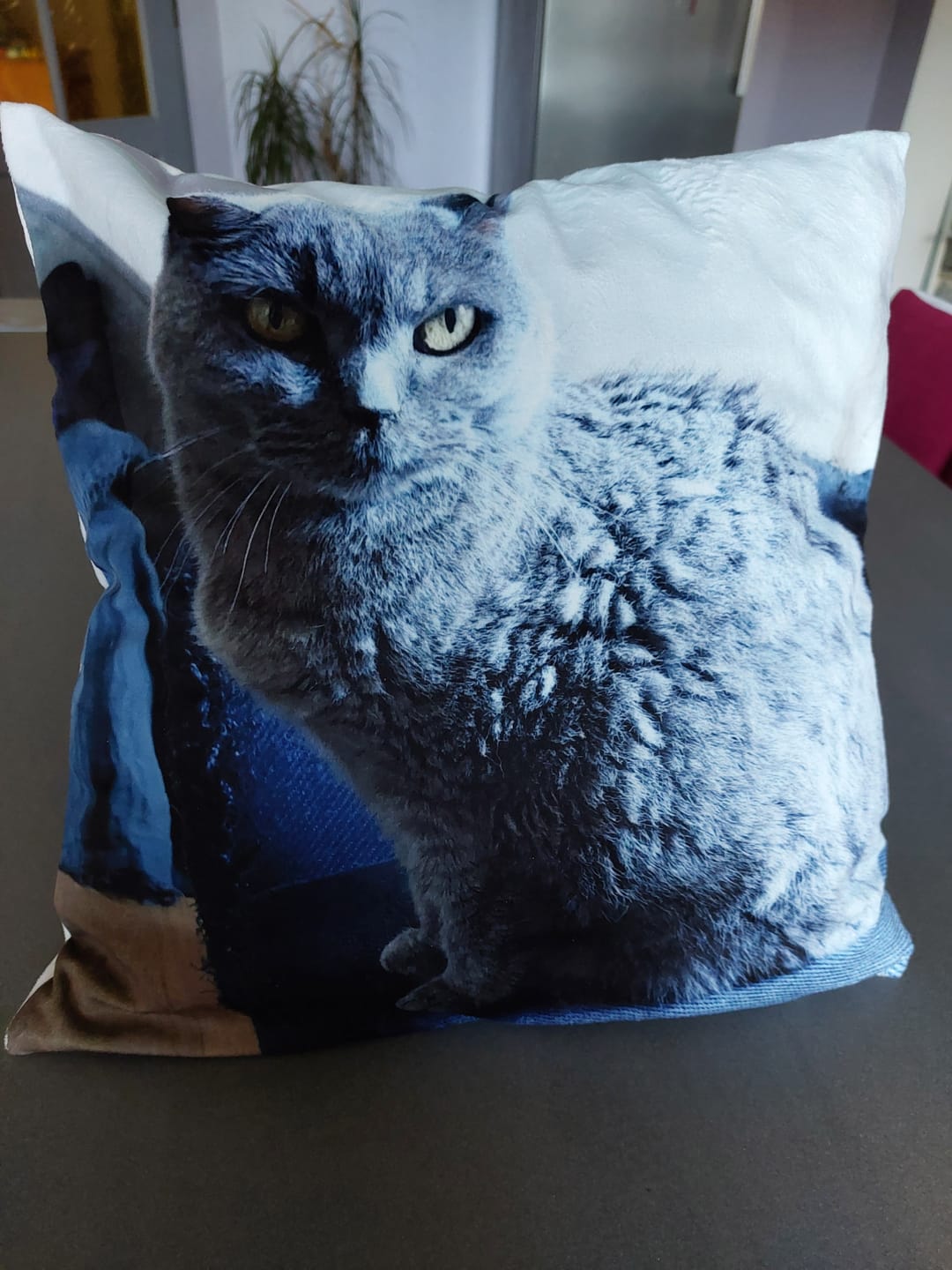 Customer photo review of Avec photo - Coussin personnalisé
