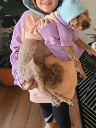 Customer photo review of Color Block Human Hoodies