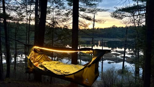 Customer photo review of Haven XL