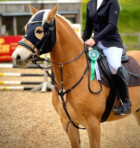 Customer photo review of Strotonin Horse Support