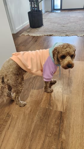 Customer photo review of Color Block Human Hoodies