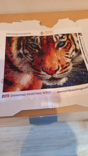 Kundenbewertung mit Foto zu Tiger blaue Augen