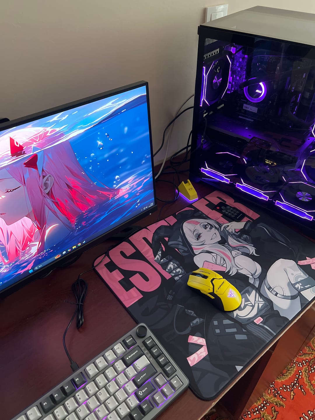 Customer photo review of ESPTiger Tang Dao Pioneer Series Mousepad