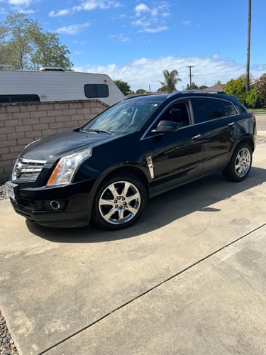 Customer photo review of Neptune Grass Fed Tallow & Honey Balm