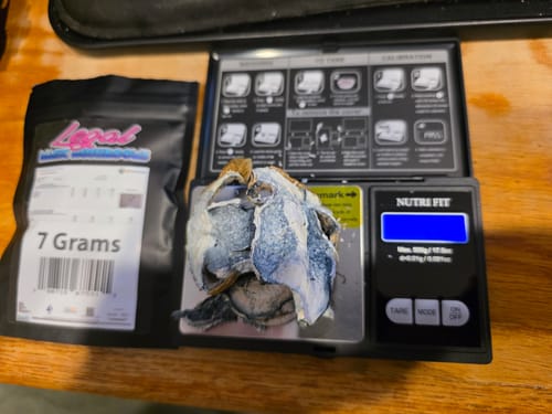 Customer photo review of Non Detect Mushrooms - 50% Off