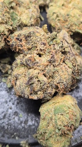 Customer photo review of FREE SAMPLE (with code) THCa Flower