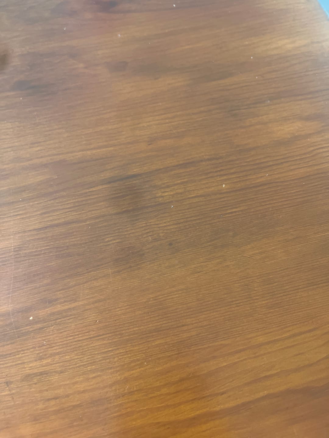 Customer photo review of Matcha | Ceremonial Grade