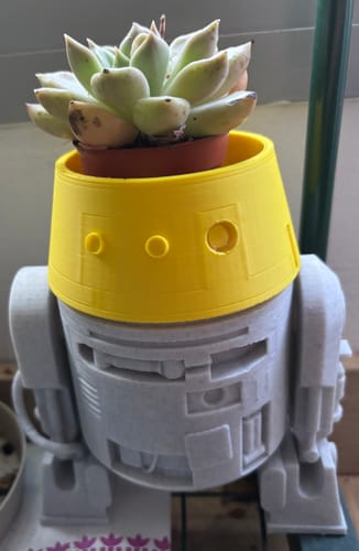 Customer photo review of Anycubic Kobra S1 Combo