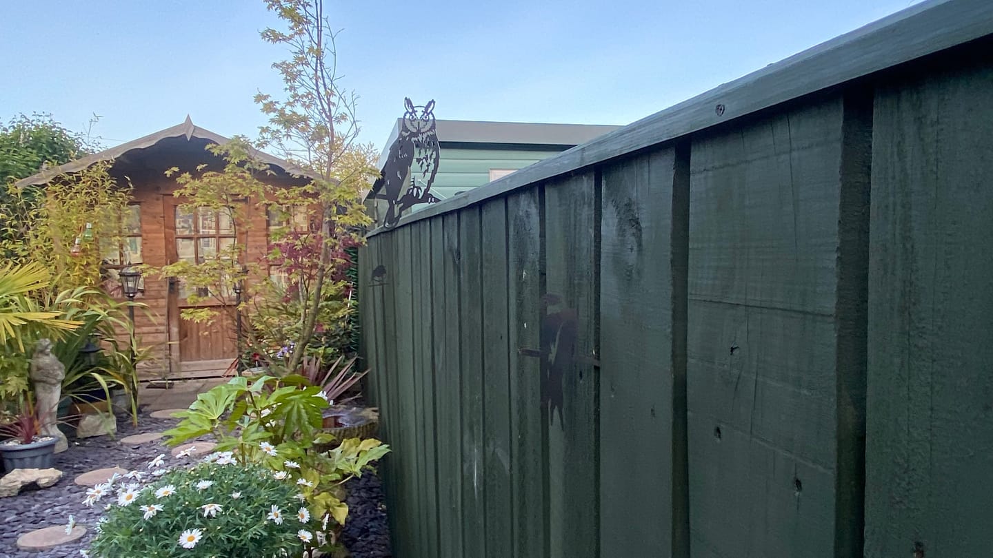 Customer photo review of Metalbird Seconds