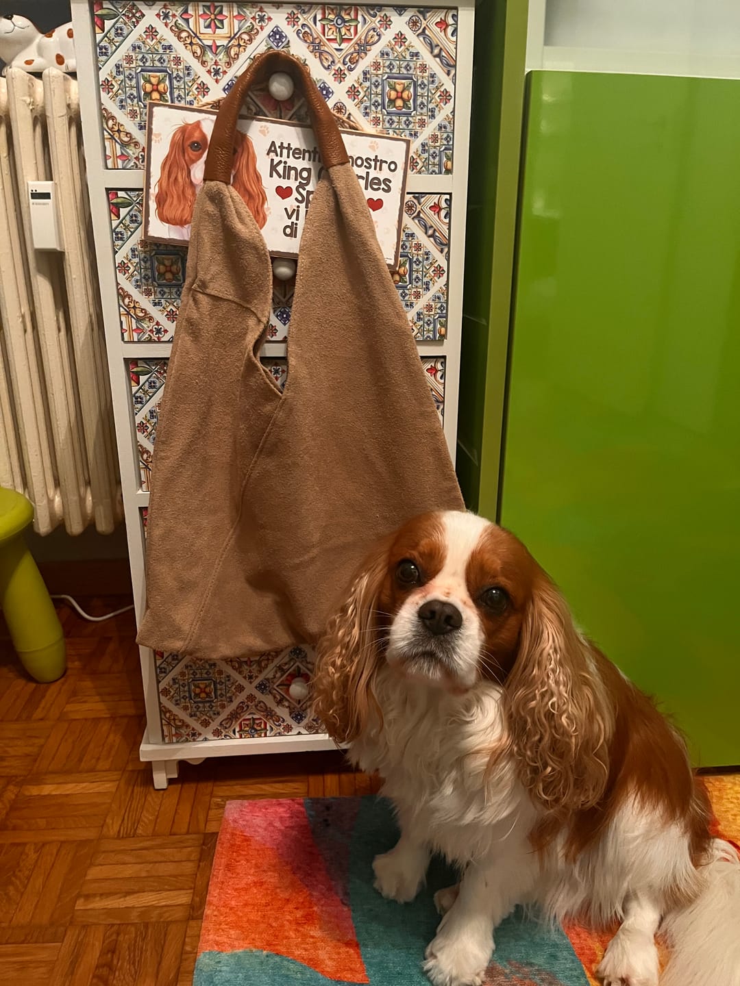 Customer photo review of Martina - Borsa Sacca Hobo a Spalla in Pelle Camoscio
