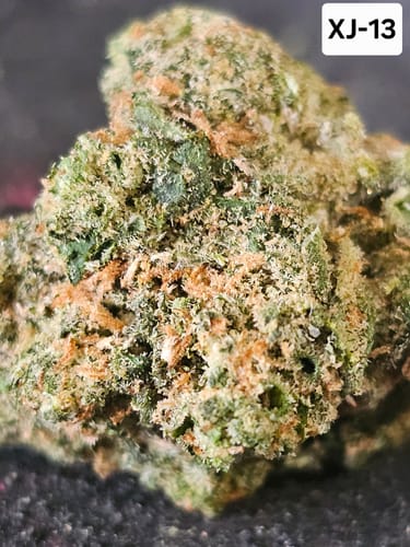 Customer photo review of Gold Spectrum THCA Flower (Exotic) - XJ-13