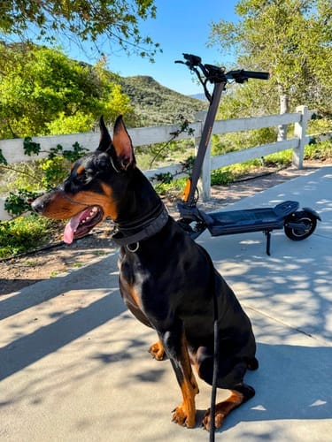 Customer photo review of Ausom F1 Max Electric Scooter