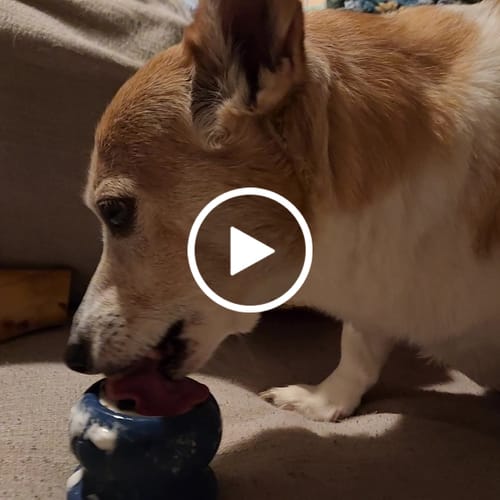 Customer video review of Freezball - Durable Fillable Dog Chew Bone