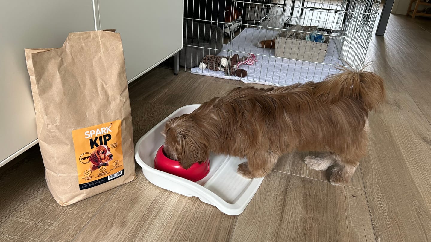Customer photo review of Puppy - Kip met Kalkoen, Zalm, Zoete Aardappel & Wortel