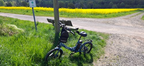 Customer photo review of Shipping Protection