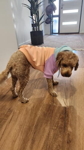 Customer photo review of Color Block Human Hoodies