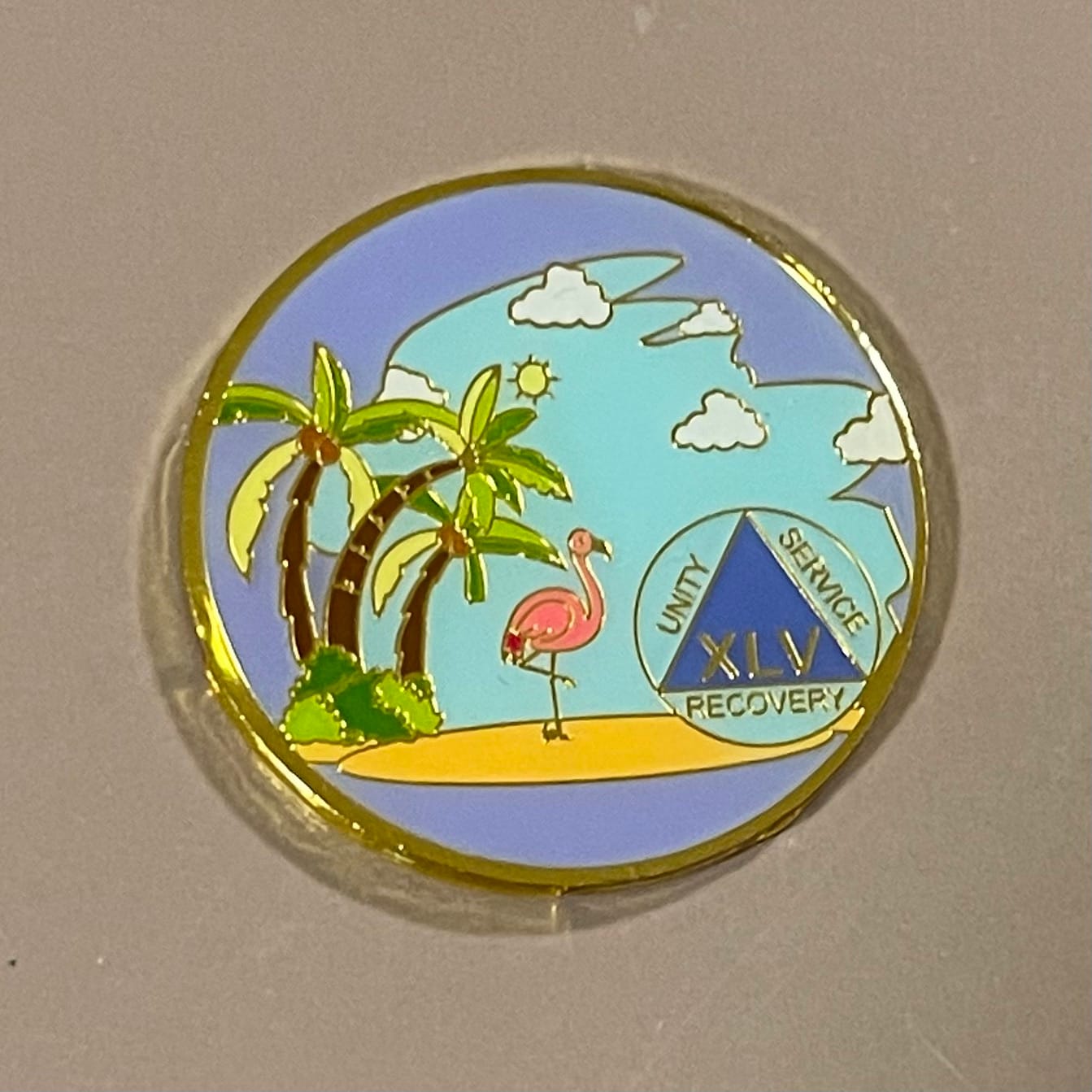 Customer photo review of 1 to 60 Year Beach Themed Specialty AA Recovery Medallion - Tri-Plated Chip/Coin