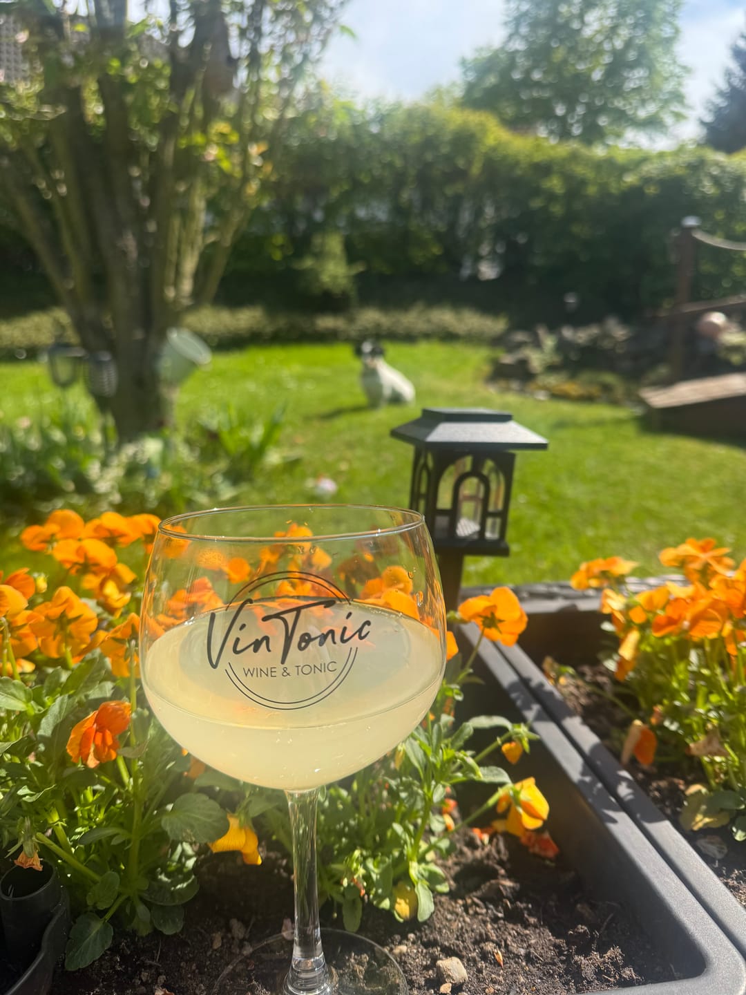Customer photo review of VinTonic Classic | 6 x 0,75 L