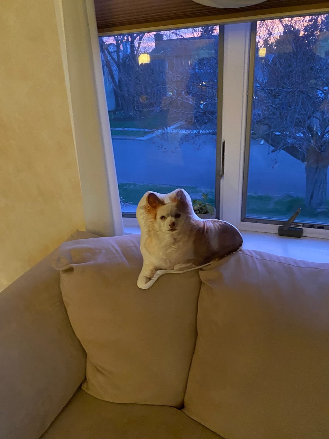 Customer photo review of Custom Dog Shaped Memorial Pillow for Pet Owners from Your Pet Picture