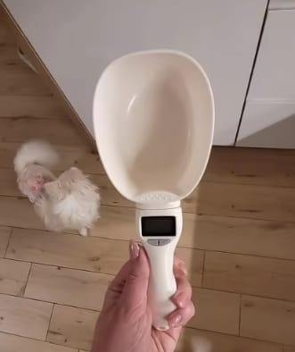 Customer photo review of Digital Measuring Scoop