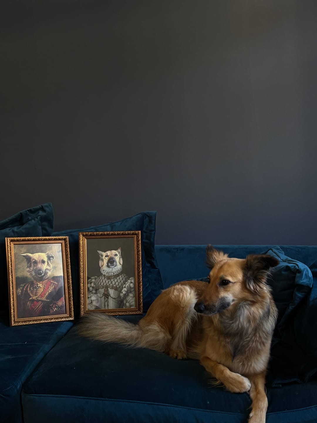 Customer photo review of BARON v. FLAUSCH