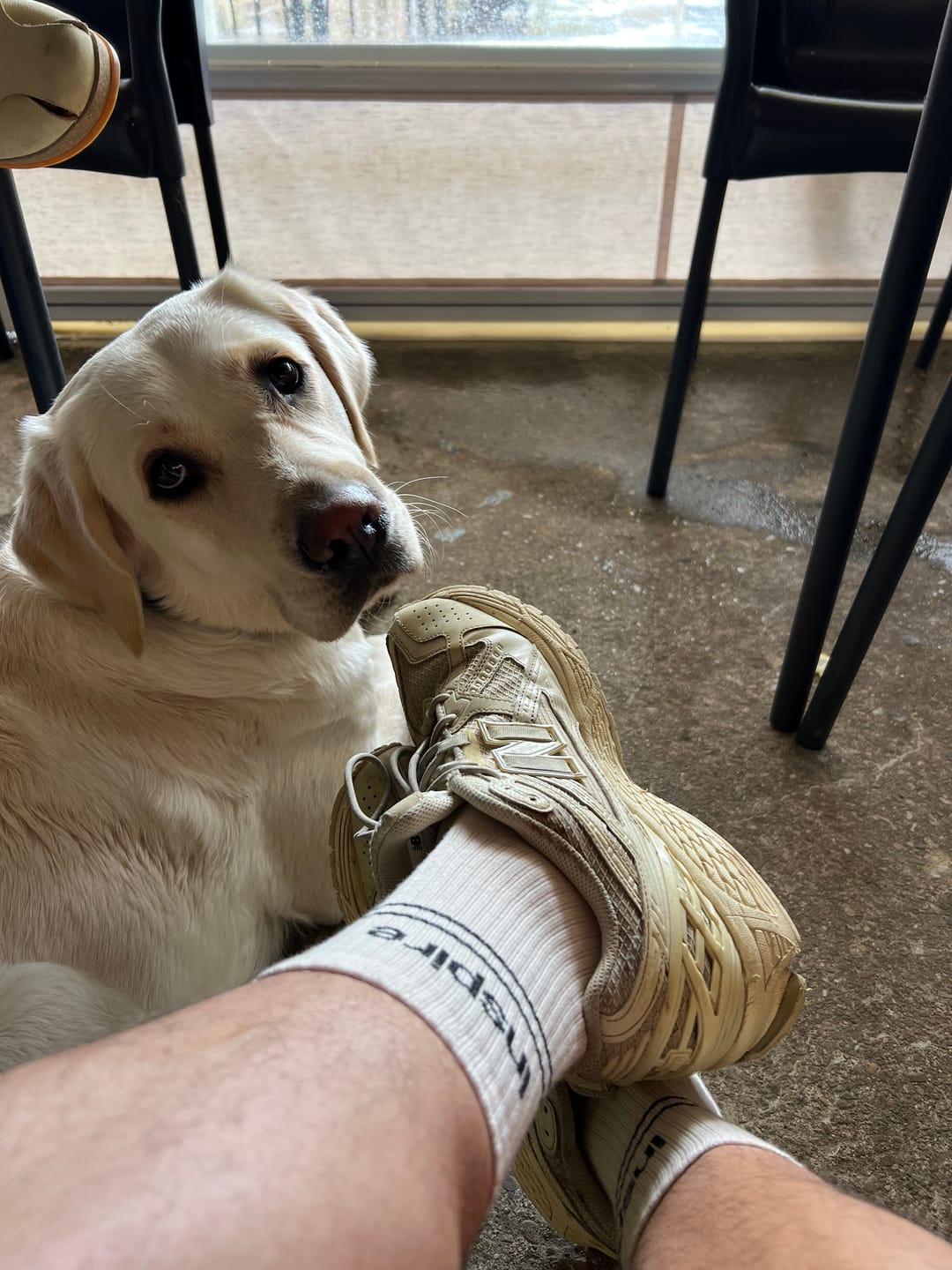Customer photo review of Chaussettes inspire • expire