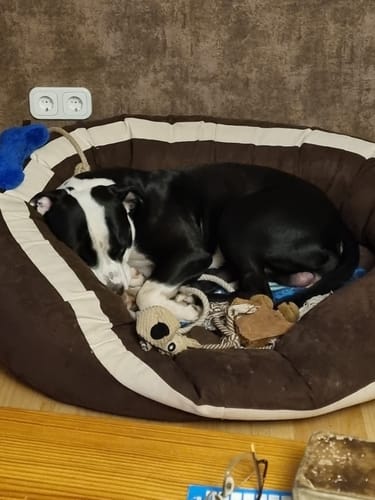 Customer photo review of Relax Time