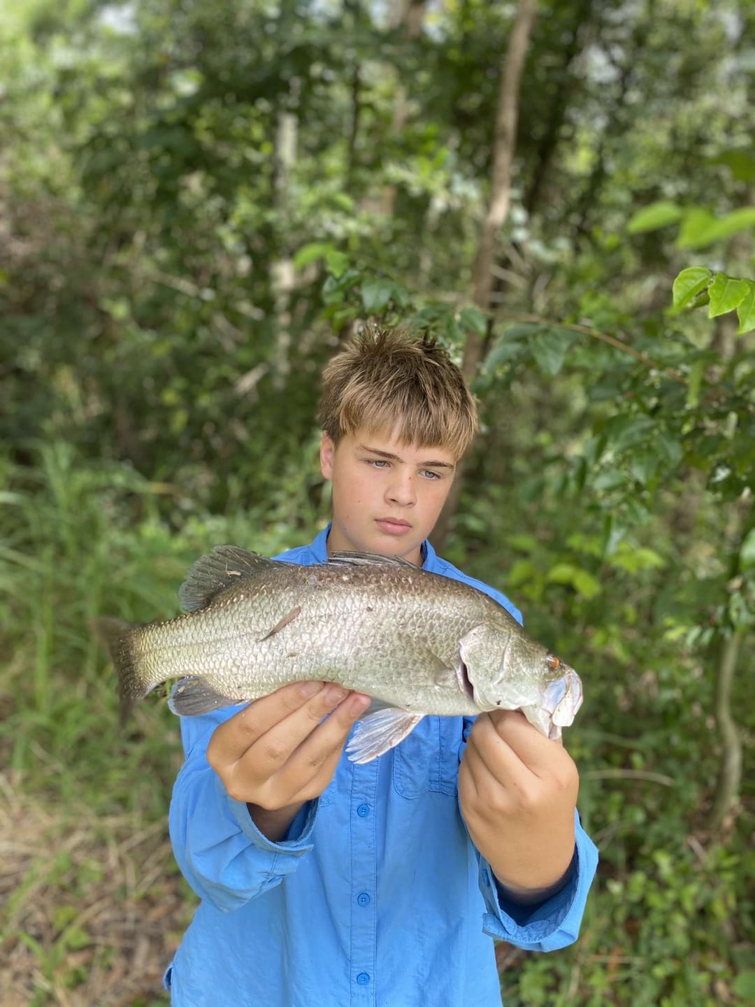 Customer photo review of GUPPIE SHAD