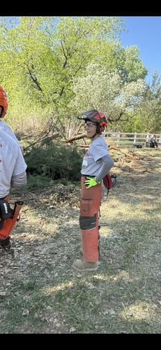 Customer photo review of Protos Integral Arborist Helmet