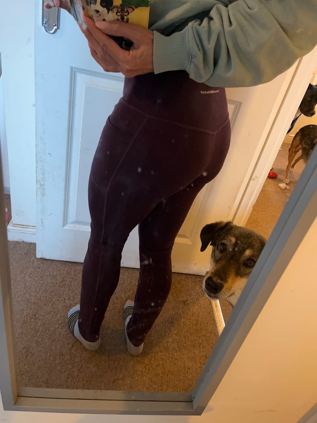 Customer photo review of Walkies Ready® Leggings - Plum