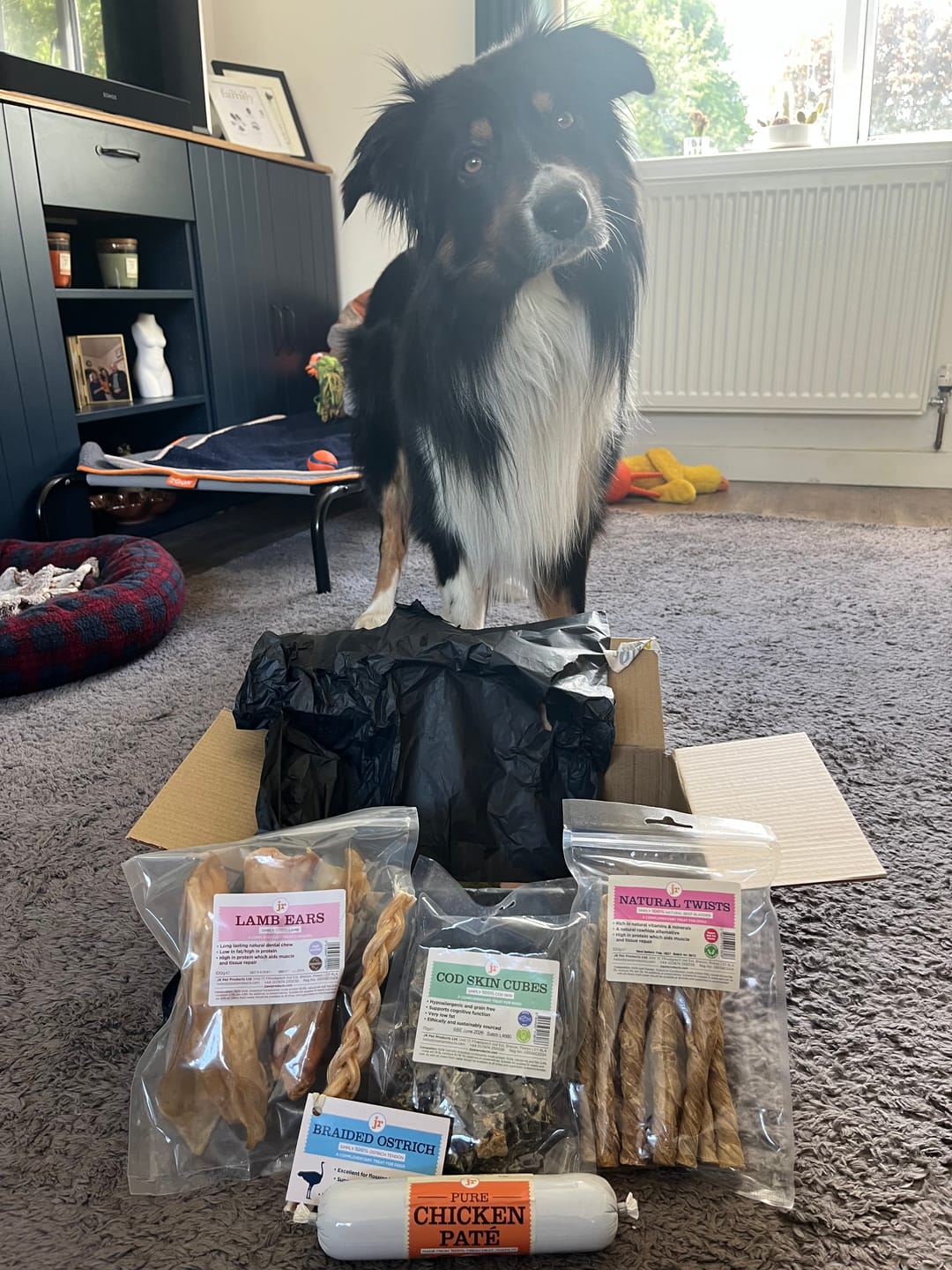 Customer photo review of JR Pet Products Treat & Chew Bundle | Natural, Monthly Variety Box for Happy Dogs