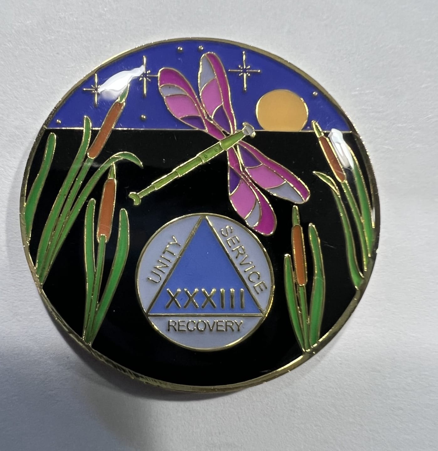 Customer photo review of 1 to 60 Year Dragonfly 9th Step Specialty AA Recovery Medallion - Tri-Plated Chip/Coin