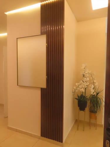 Customer photo review of דלת מראה להסתרת ארון חשמל