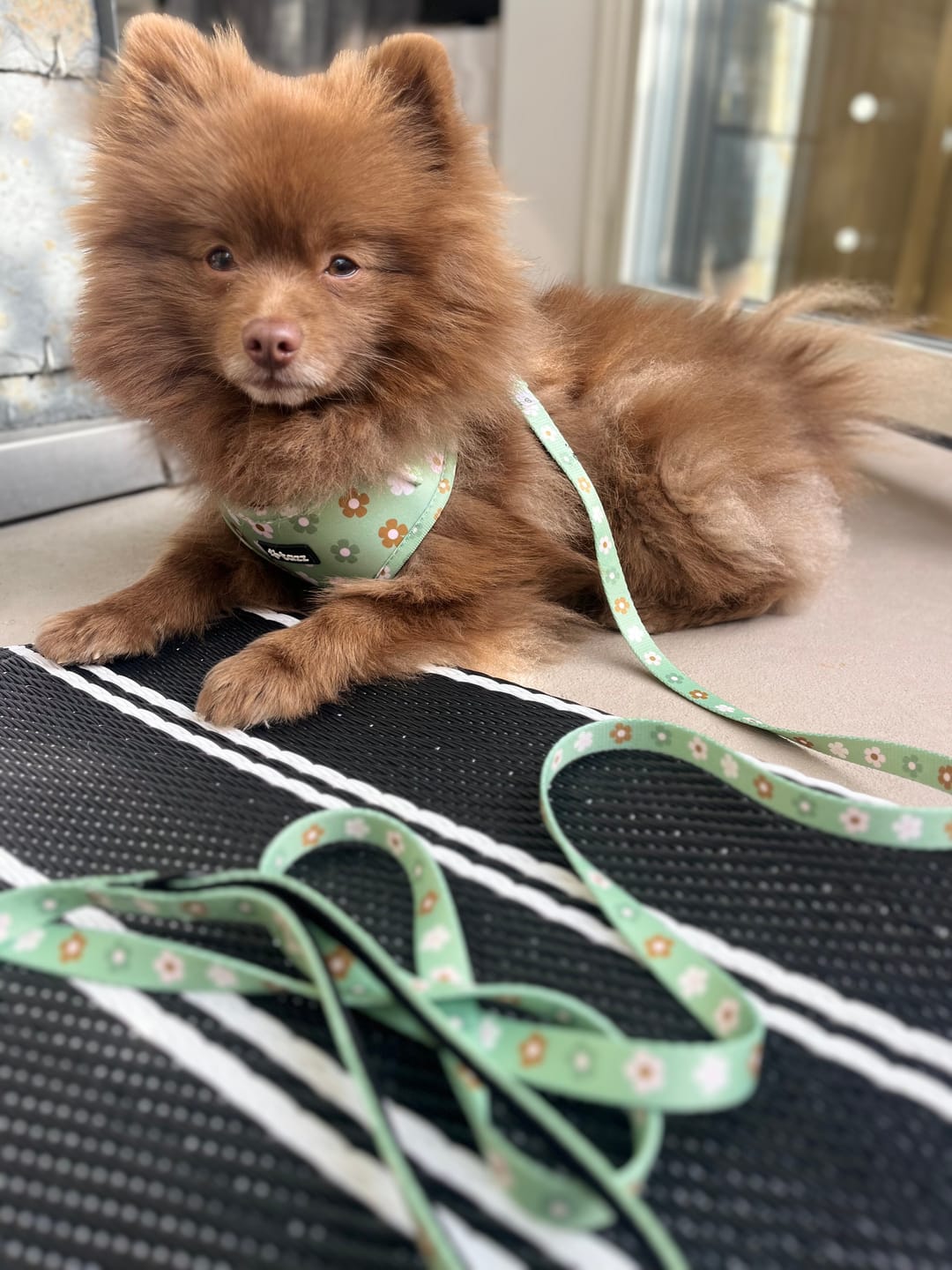 Customer photo review of Koppel - Flower Power