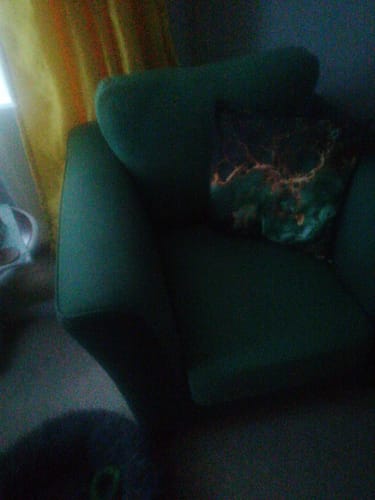 Customer photo review of Fabric Paint -- Dark Green