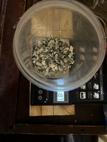 Customer photo review of Non Detect Mushrooms - 50% Off