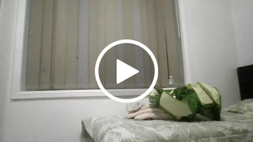 Customer video review of 2025 Canterbury-Bulldogs Home Jersey - Kids