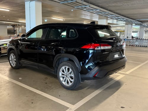 Customer photo review of Limlex® Platinum Car Care Set