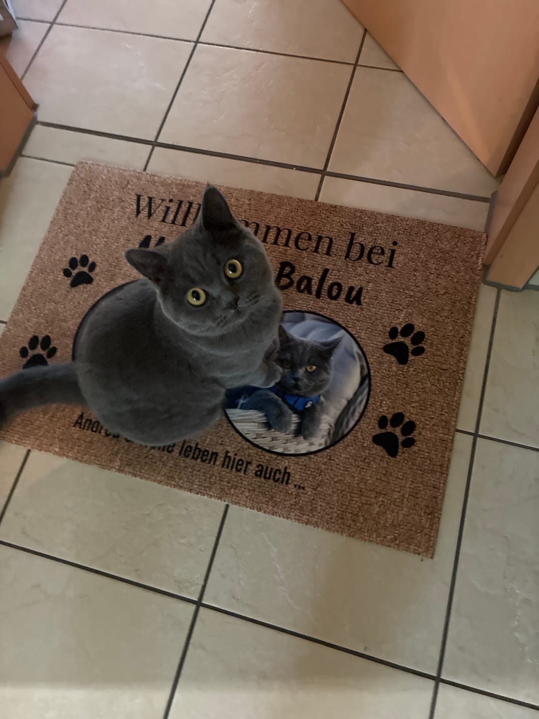 Customer photo review of Eigenes Foto - Individuelle Fußmatte