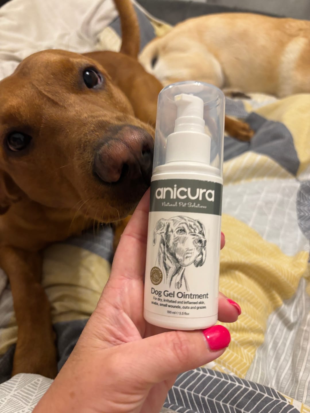 Customer photo review of Dog Gel