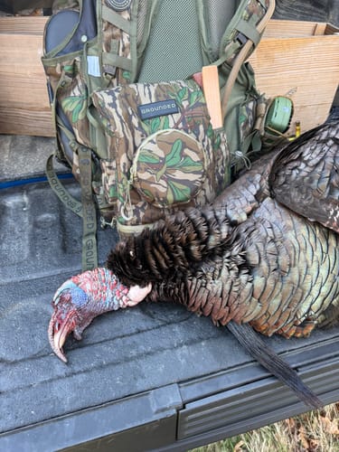 Customer photo review of The Hybrid Pack