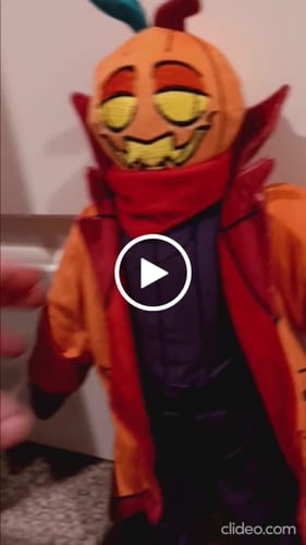 Customer video review of Turn Kid‘s Drawings into Plushies