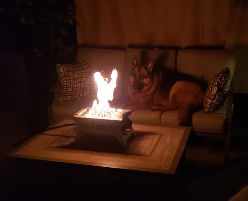 Customer photo review of The Howl R1
