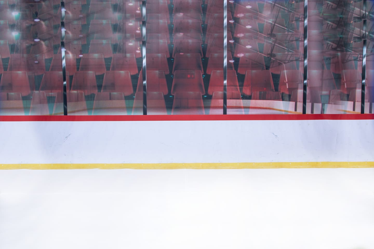 Customer photo review of Ice Hockey Rink Photo Backdrop
